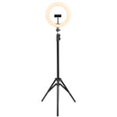 Kit Ring Light Led 26cm 10 Polegadas Com Tripe 1,65 Metros E Suporte Para Celular Ate 8"" - Rl26