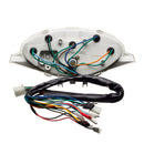 Painel Comp. Instrumentos Condor Biz 100 98 A 01