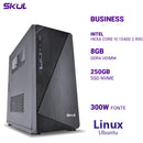 Computador Business B500 Hexa Core I5 10400 2.90ghz Mem 8gb Ddr4 Ssd 250gb Nvme Fonte 300w Linux