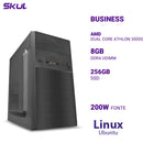 Computador B200 Dual Core Athlon 3000g 3.50ghz Memória 8gb Ddr4 Ssd 256gb Fonte 200w Linux Ubuntu