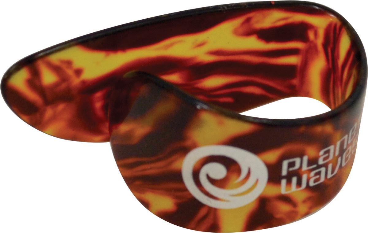 Dedeira Shell Lrg 5csh650 - PC / 10