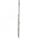 Flauta Transversal HARMONICS Soprano C HFL-6238S Prata