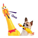 Frango  de borracha para Pets