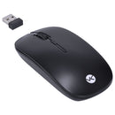 Mouse Sem Fio 2.4 Ghz 1200 Dpi Dynamic Flat Preto Usb - Dm100