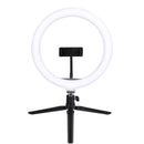 Ring Light De Mesa 26cm Com Tripé De 20cm E Suporte Para Celular - Rlm26