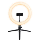 Ring Light De Mesa 26cm Com Tripé De 20cm E Suporte Para Celular - Rlm26