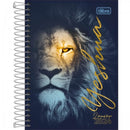 Agenda Espiral Diária 12,9 X 18,7 Cm Louvor 2024