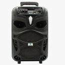 Caixa De Som Amplificada Af 8 100w Bluetooth/fm/usb/sd Rbm-019 Hoopson