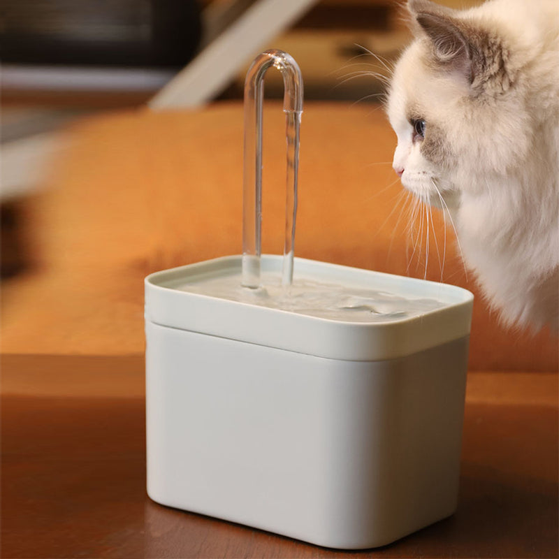 Dispenser de água para animais de estimação