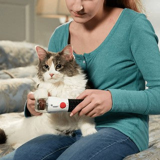 Lixa Elétrica De Unha Cães E Gatos + 3 Lixas