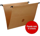 Pasta Suspensa Kraft Completa Com Acessórios 10 Unidades