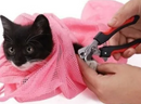 Saco Contenção Para Lavar Gato Malha Banho Tosa Pet
