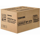 Pilha Alcalina D 1,5V LR20GCP (C/2 Pilhas) Toshiba - CXF / 10