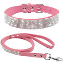 Conjunto de coleira para animais de estimação