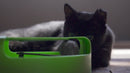 Brinquedo Para Gato Interativo Pegue O Rato Com Arranhador