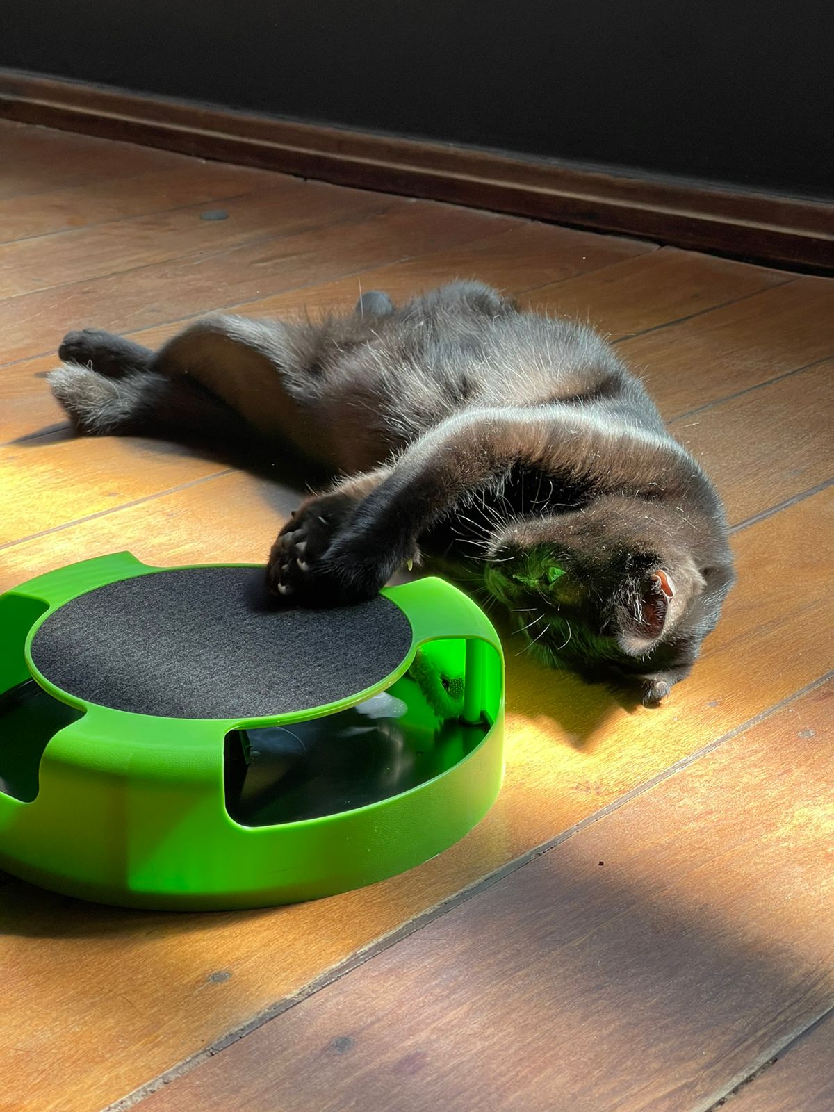Brinquedo Para Gato Interativo Pegue O Rato Com Arranhador