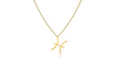 Colar Personalizado Signo De Peixes Folheado Em Ouro 18k