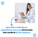 Comedouro Lento Educador Interativo de Plástico para Cães