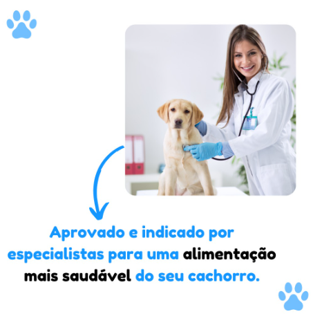 Comedouro Lento Educador Interativo de Plástico para Cães