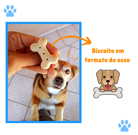 Biscoito para Pet Cães Dog Crock Super Premium Mix - Cães de Todas as Raças - 1 Kg