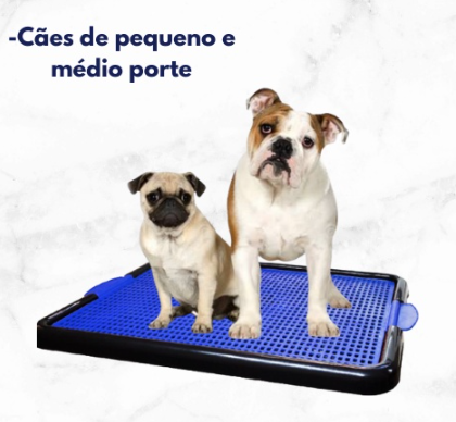 Educador canino, sanitário, tapete para cachorro fazer xixi, dog banheiro para pet