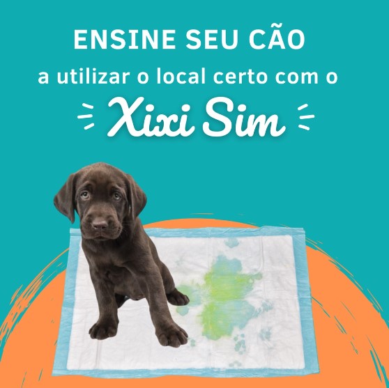 Educador Para Cães Xixi Pode/Não Pode 500ml Atrativo Canino Adestrador Sanitário - Fixa Pet