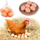 Kit 12 Ovos Falsos Brincadeira Plástico Para Indez Galinha
