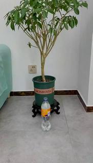 Irrigador Kit 4 Pçs Jardim Dosador Gotejador Vaso Plantas.start/Irrigação Por Gotejamento Garrafa Pet Plantas/Espeto com Gotejador para