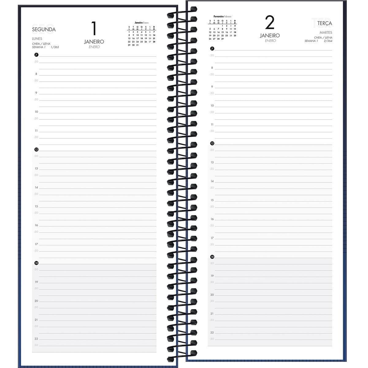 Agenda Executiva 11,9 X 27,5 Cm Comercial Ideale 2024