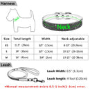 Conjunto de coleira para animais de estimação