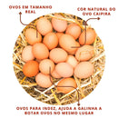 Kit 12 Ovos Falsos Brincadeira Plástico Para Indez Galinha