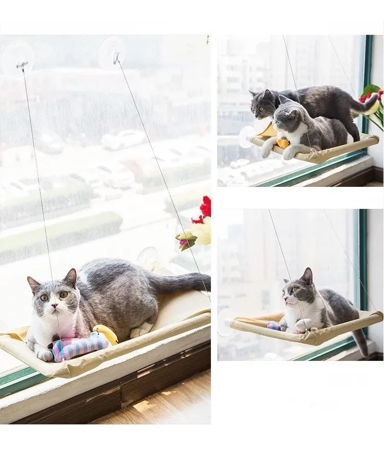 Cama Caminha De Janela Para Gatos Com Ventosas Suspensa Rede